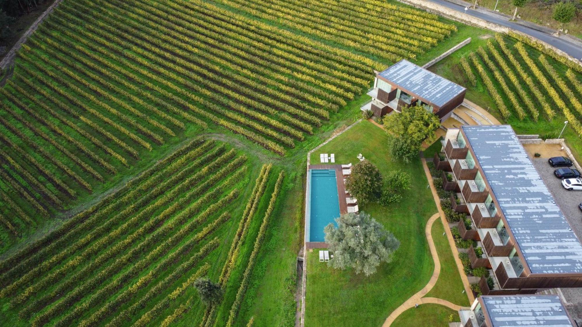 Torre De Gomariz Wine & Spa Hotel Cervães Zewnętrze zdjęcie